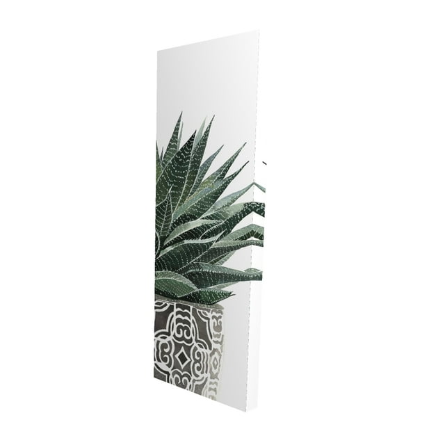 Plante Zébrée Succulente - Toile 20"x60 Pouces - Impression à la Demande