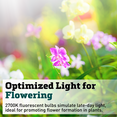 thumbnail image 2 of Gardener's Supply Company T5 Fluorescent 24W 6400K Full Spectrum Light Bulbs, High Output, 2 of 7