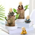 thumbnail image 2 of Regalos de Oficina Del Hogar Brasil Plantas en Macetas de Madera Decoración Del Hogar 4Pc, 2 of 9