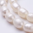 thumbnail image 3 of Natural Cultured Freshwater Pearl Beads Strands Oval Seashell Color 11~13x9~10mm Hole: about 0.5mm about 30pcs/strand 13.8 inch, 3 of 4