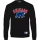 thumbnail image 1 of Sudadera Chicago Cubs M2 - Adulto Niño, 1 of 3