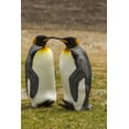 thumbnail image 2 of Illg, Cathy and Gordon 17x24 White Modern Wood Framed Museum Art Print Titled - Saunders Island Pair of king penguins, 2 of 4
