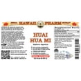 thumbnail image 2 of Huai Hua Mi (Sophora Japonica) Dry Bud And Flower Liquid Extract. Expertly Extracted by Trusted HawaiiPharm Brand. Absolutely Natural. Proudly made in USA. Tincture 32 Fl.Oz, 2 of 3