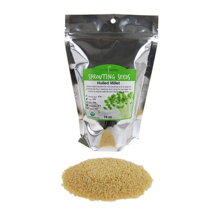 Organic Hulled (Husk Removed) Millet Seeds: 1 Lb - Non-GMO Cereal Grain - Make Millet Beer, Grind Millet Flour, Cereal, Bird Seed, Emergency Food (Best Flour To Make Pasta)