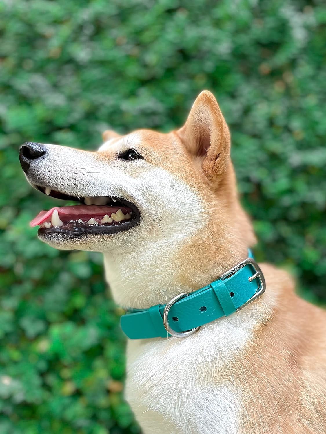  Tuff Pupper Heavy Duty Dog Collar