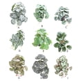 thumbnail image 3 of Naiovety Decoraciones realistas para terrarios - Apariencia realista Bajo mantenimiento Artificial no tóxico Decoración hoja de pavo real, 3 of 6