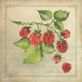 thumbnail image 2 of Marrott, Stephanie 26x26 Black Ornate Wood Framed with Double Matting Museum Art Print Titled - Rasberry Collage, 2 of 4