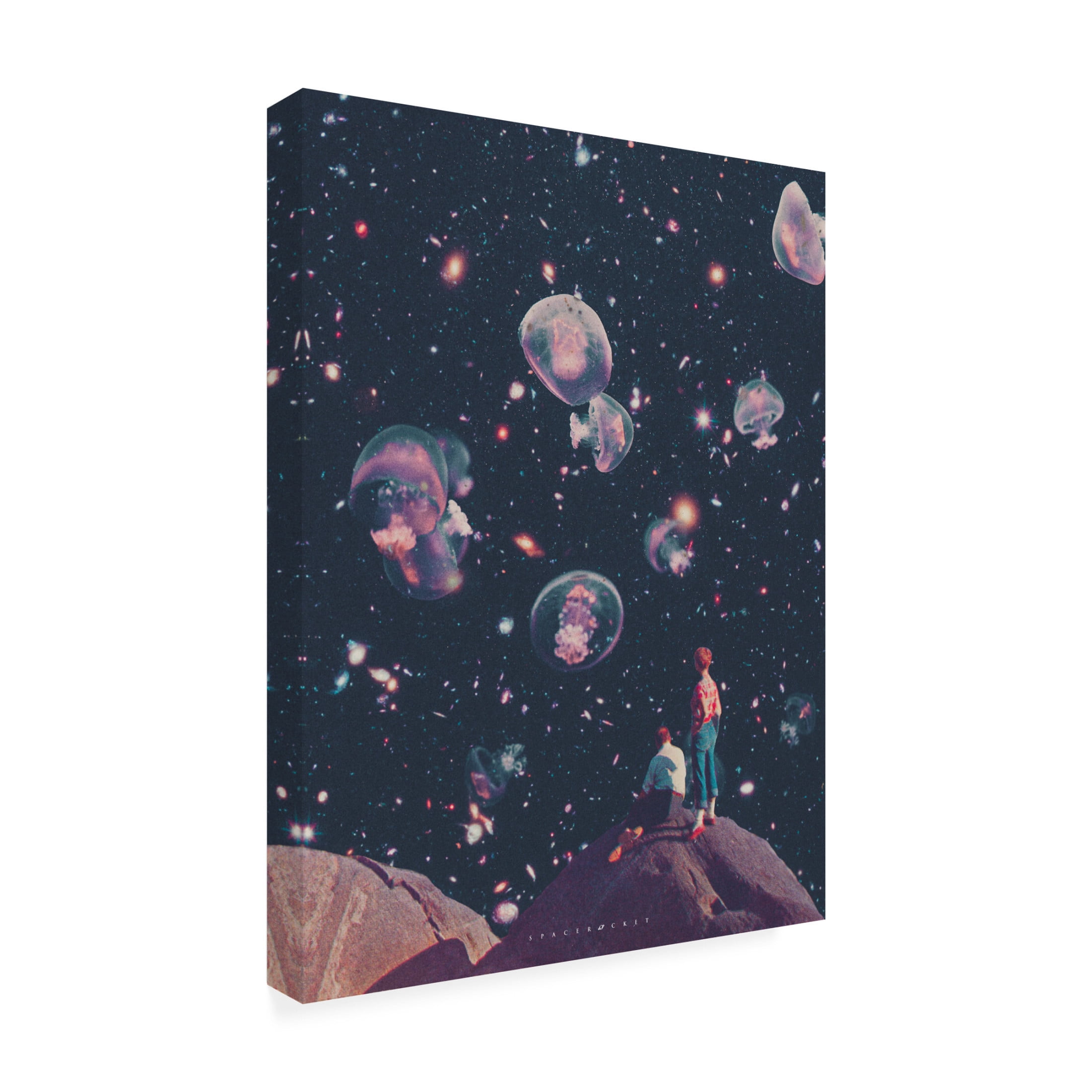 Trademark Fine Art spacerocket art  200 Canvas Wall Art