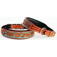 thumbnail image 3 of Small 13''- 17'' Dog Puppy Collar Genuine Cow Leather Padded Canine  60101, 3 of 3