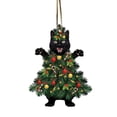thumbnail image 1 of EZLIFE Colgante de gato negro de Navidad acrílico Colgante de año de coche de gato negro X2T5 Z5X8, 1 of 7