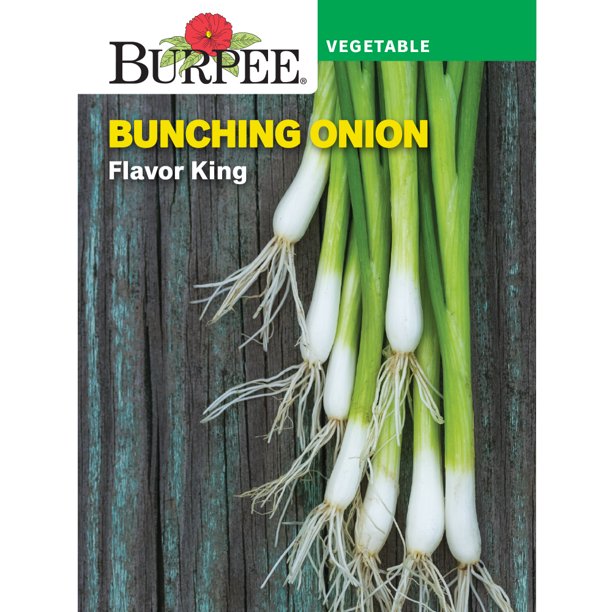 Burpee Flavor King Bunching Onion Vegetable Seed, 1pack