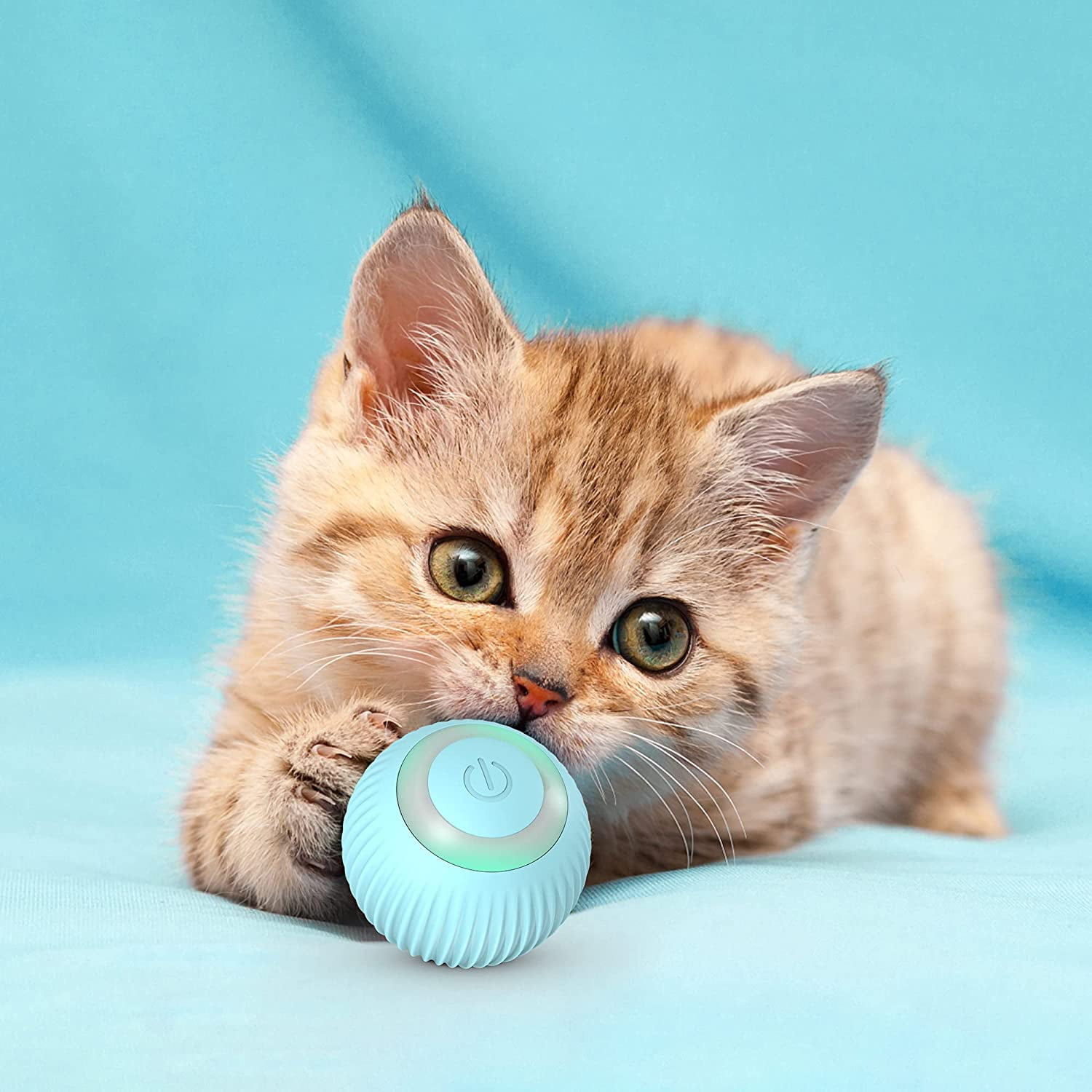 Dog and cat toys discount