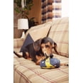 thumbnail image 4 of BARK Plush Dog Toy with Large Squeaker & Crazy Crinkle, Multicolor Large, 4 of 7