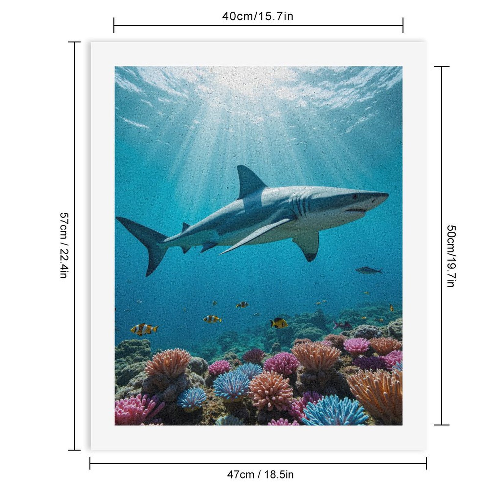 Paint By Numbers Kit for Adults Beginner - DIY Shark Above Colorful Coral Reef Canvas Painting Kits for Adults, Frameless Paint By Number for Adults for Home Wall Decor 16x20 Inch