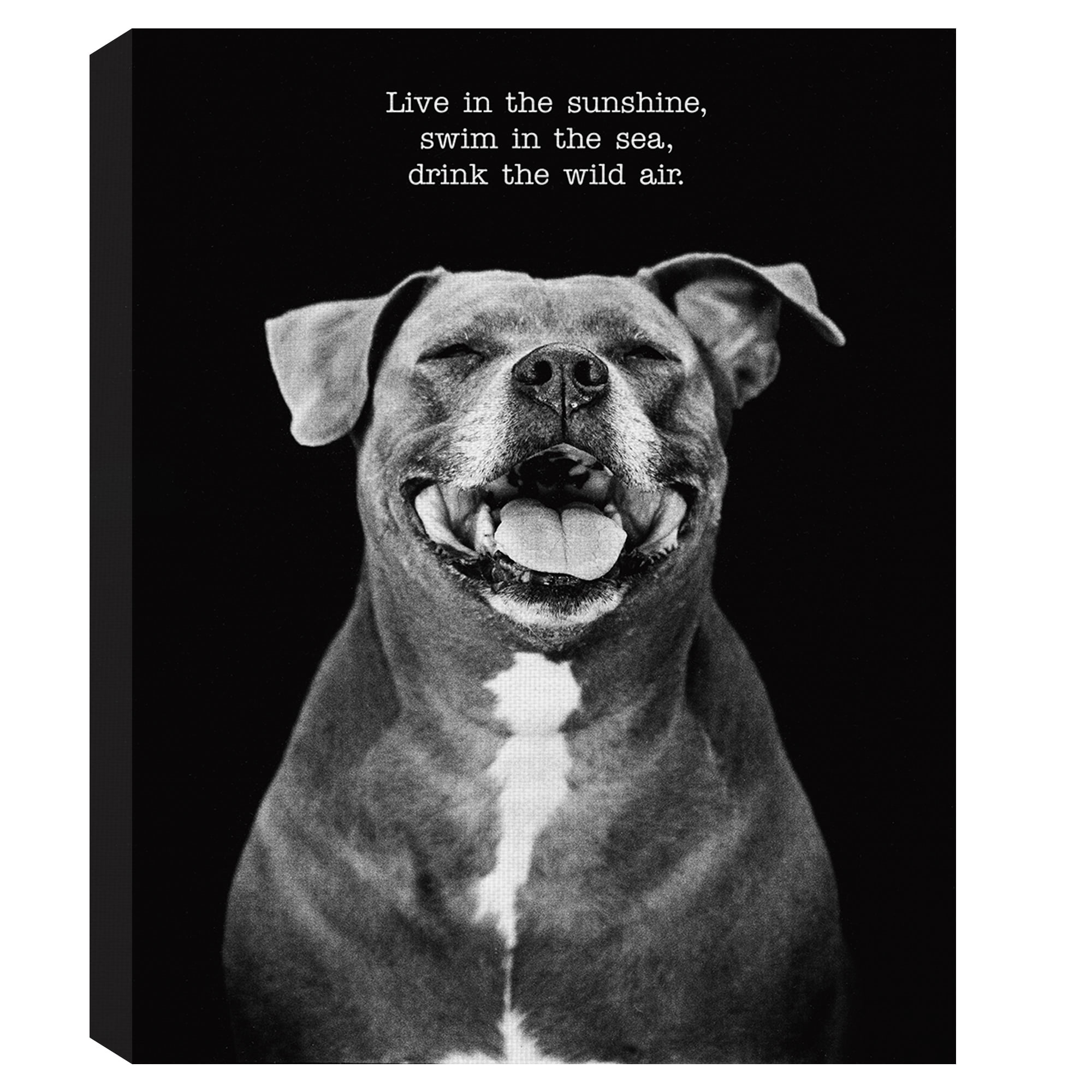 Masterpiece Art Gallery Sugar The Dog By Frank Bruynbroek Canvas Art Print 11" x 14"