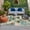 Beige, variant on Tropical Plant Outdoor Rug 6x9 Ft, Non Slip Washable Area Rug, Summer Watercolor Boho Green Palm Tree Beige Patio Rugs Carpet Runner, Large Floor Mat for Indoor/Outdoor Deck Porch Camping