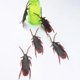 thumbnail image 5 of TUMALL - Juguete de broma de cucaracha falsa, juguete de plástico de goma, mordaza, truco, insecto falso 6T2E BEST-D, 5 of 8