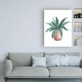 thumbnail image 3 of Trademark Fine Art 'Mixed Greens Succulent I' Canvas Art by Lisa Audit, 3 of 3
