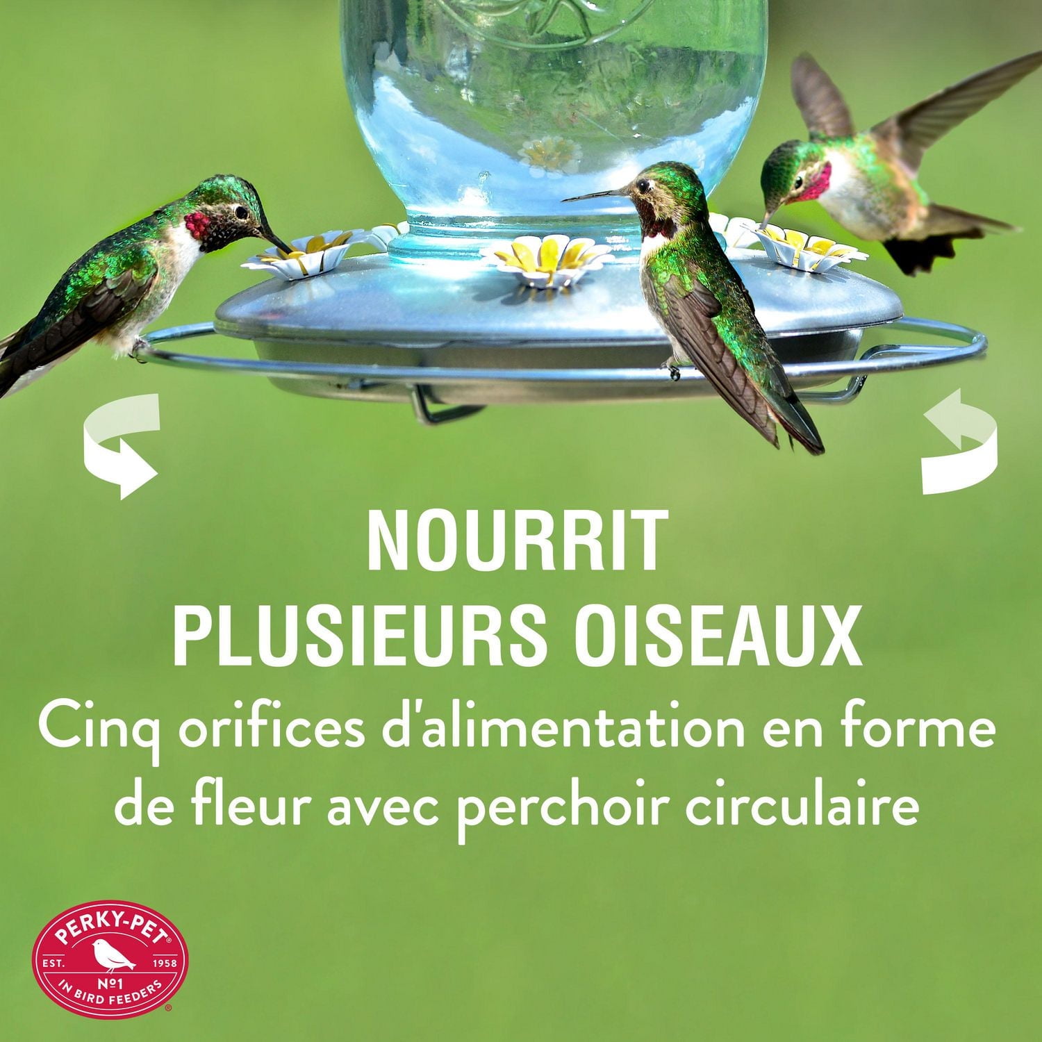 Perky-Pet 32 oz Mason Jar Hummingbird Feeder