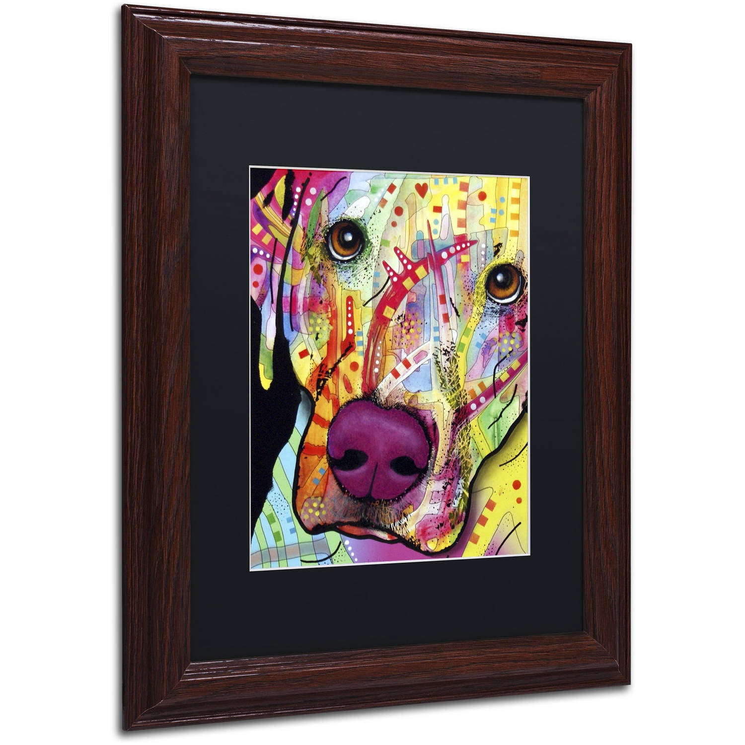 Trademark Fine Art 'Close Up Lab' Canvas Art by Dean Russo, Black Matte, Wood Frame