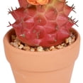 thumbnail image 2 of Mainstays 4.72" Artificial Potted Cactus - Red with Orange Flowers, 2 of 6