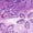 Purple, variant on Jelly Shoes Girls Dress Flats Mary Jane Birthday Party Dance Summer Beach Glitter Soft Gold 11(28)