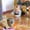 A, variante sur SIfdSeng Jouets pour Garçon d'Un An Jouet Électrique Universel pour Enfants Tête Jouet Projection de Lumière 3D Musique Jouet Parent-Enfant Jouet Lumineux Jouets pour Garçon d'Un An Jouets d'Extérieur pour Garçon d'Un An pour l'Extérieur