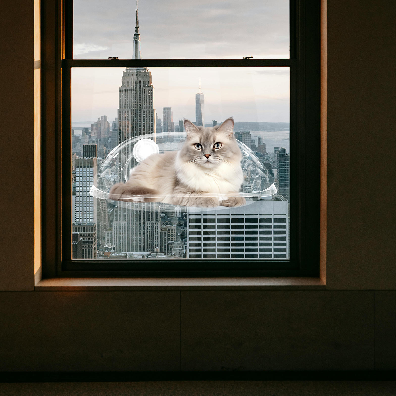 ULTNICE Cat Window Hammock Suction Cup Cat Bed Transparent AS 1Pcs