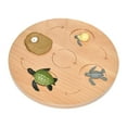 thumbnail image 4 of HILABEE Life Cycle Board Biology Science Teaching Materials Puzzle Sensory Toy for Age 3 sea turtle, 4 of 9