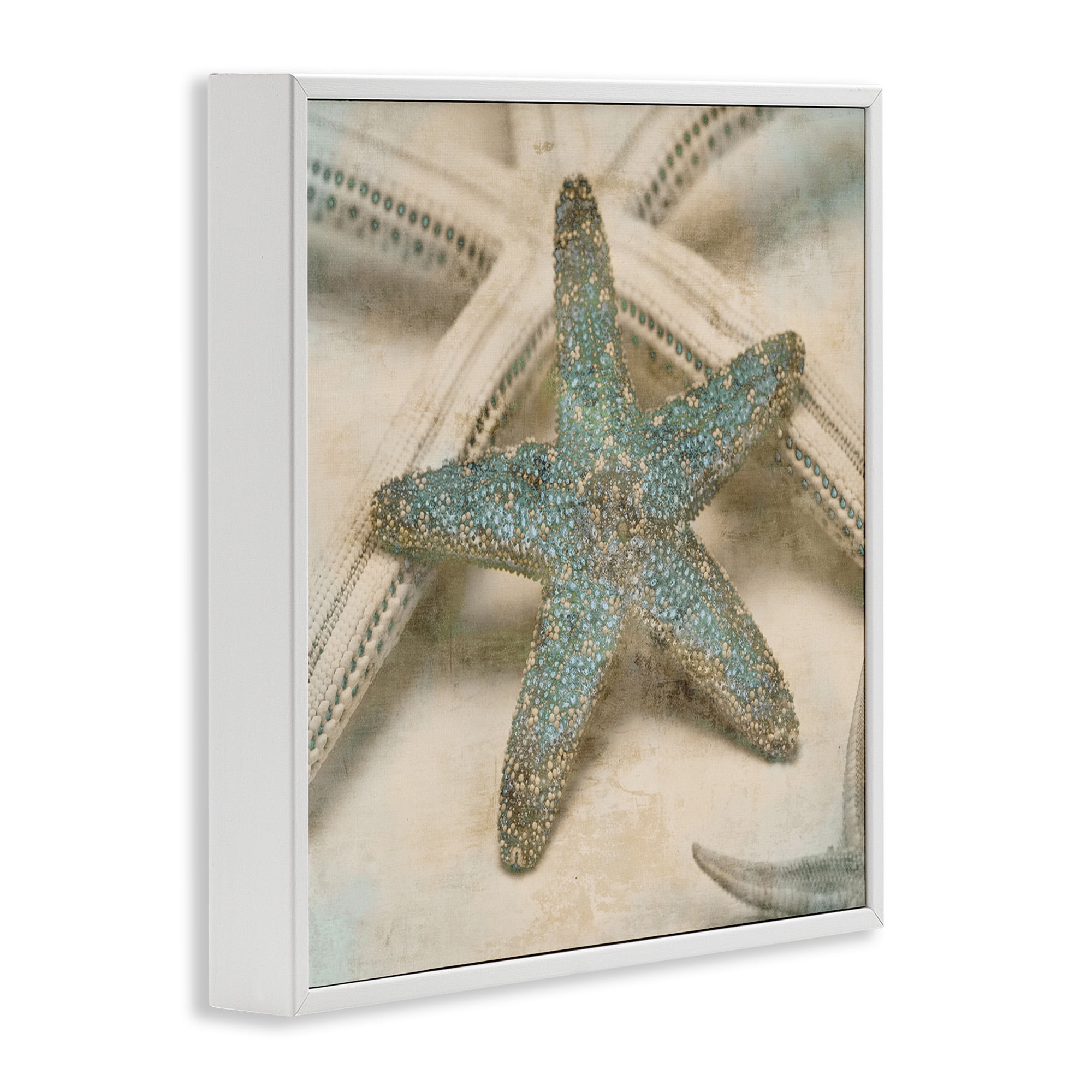Stupell Industries Distressed Texture Starfish Nature Photography White Framed Art Print Wall Art, 12 x 12
