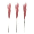 thumbnail image 1 of kurtrusly 3x Space Artificial Pampas Reed For Chic And Non-shedding Home Decor Downy And Durable Boho Decor Dark Pink 1Set, 1 of 6