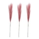 thumbnail image 1 of Matsuzay 3 unids/set Boho decoración Artificial Pampas Reed para no derramamiento y decoración del hogar duradera Downy Decoración del hogar Rosa oscuro, 1 of 6