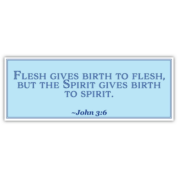 John 3:6 | Flesh gives birth to flesh | Car Sticker 3x8 inches
