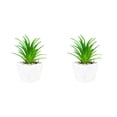 thumbnail image 1 of Bewildely Simulación de plantas artificiales suculentas, Mini maceta de bonsái de imitación, flores falsas, maceta decorativa para jardín, Type1 NO1, 1 of 6