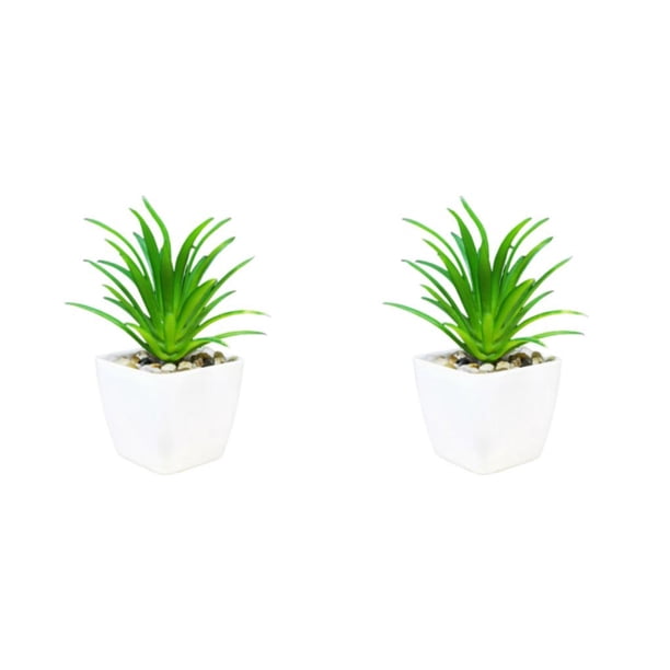 Bewildely Simulación de plantas artificiales suculentas, Mini maceta de bonsái de imitación, flores falsas, maceta decorativa para jardín, Type1 NO1
