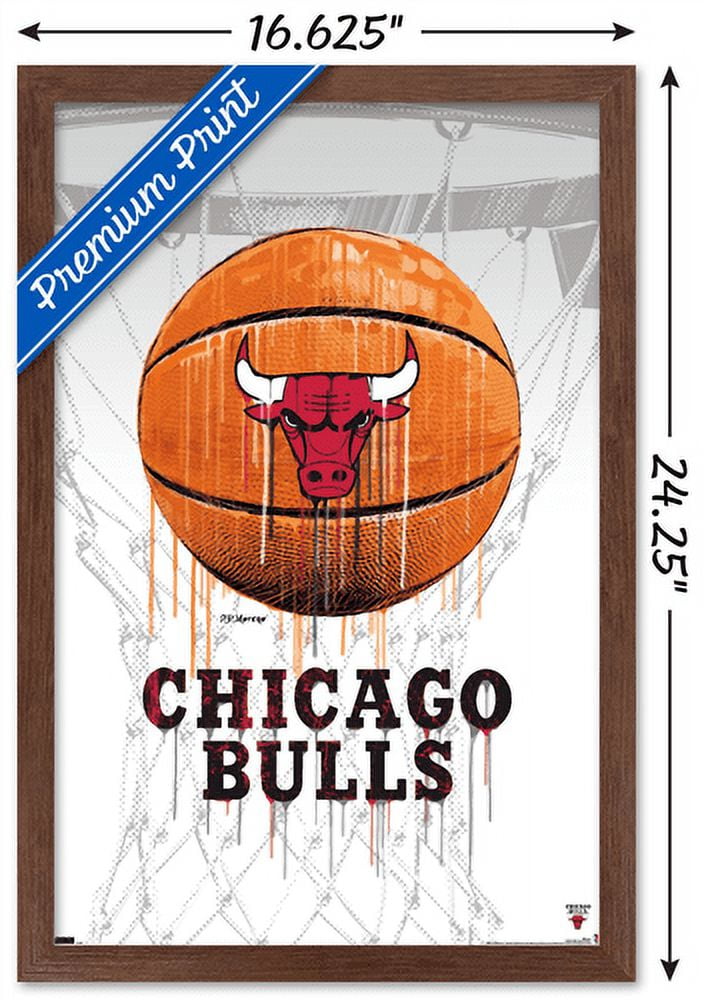NBA Chicago Bulls - Drip Basketball 21 Wall Poster, 14.725" x 22.375", Framed