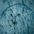 thumbnail image 4 of Set of 2 Blue Cosmos Decorative Glass Balls - 9", 4 of 9