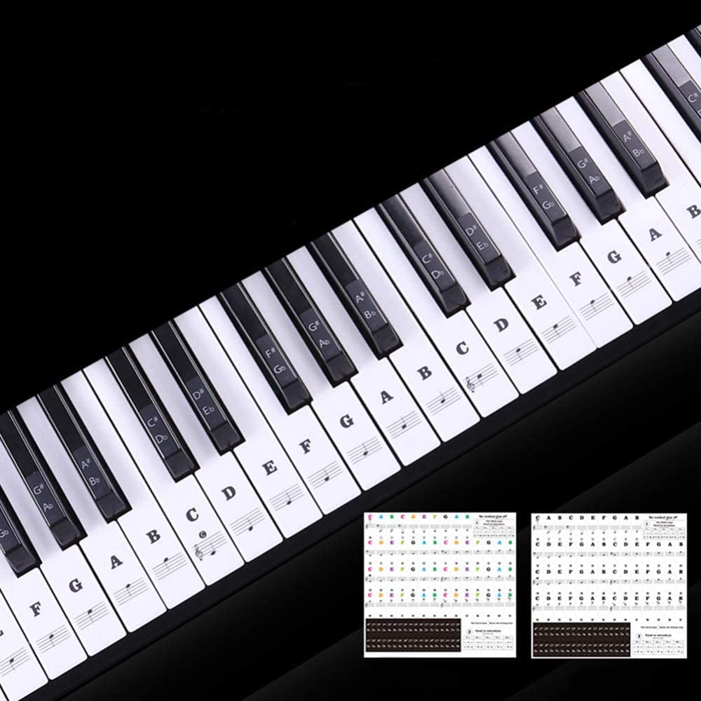 Piano Keyboard Stickers Removable for Beginners 88 Keys Colored