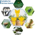 thumbnail image 6 of QARUN 48 Pack Fruit Fly Traps for Indoor Outdoor,3 Shapes Yellow Sticky Bug Traps,Double-Side Fungus Gnat Killer for Houseplants,Mosquitos,Flying Insects, 6 of 7
