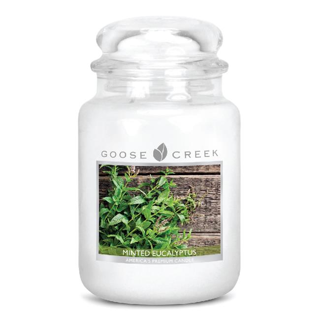 Goose Creek ES26356 24 oz Essential Minted Eucalyptus Jar Candle