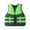 Green, variant on WANGJING Life Jackets for Adults , Buoyancy Vest , Life Jackets Coast Guard Approved for Kayak, Boating, Fishing, Paddle Sports