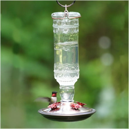 Antique Brass Bird - Perky-Pet Clear Antique Bottle Glass Hummingbird Feeder