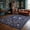 Blue, variant on Extra Large Area Rug 10x13 Washable Rug for Living Room Non Slip Floral Peacock Printed Rug Indoor Soft Floor Cover Low Pile Non-Shedding Thin Foldable Carpet for Bedroom Nursery Office Black