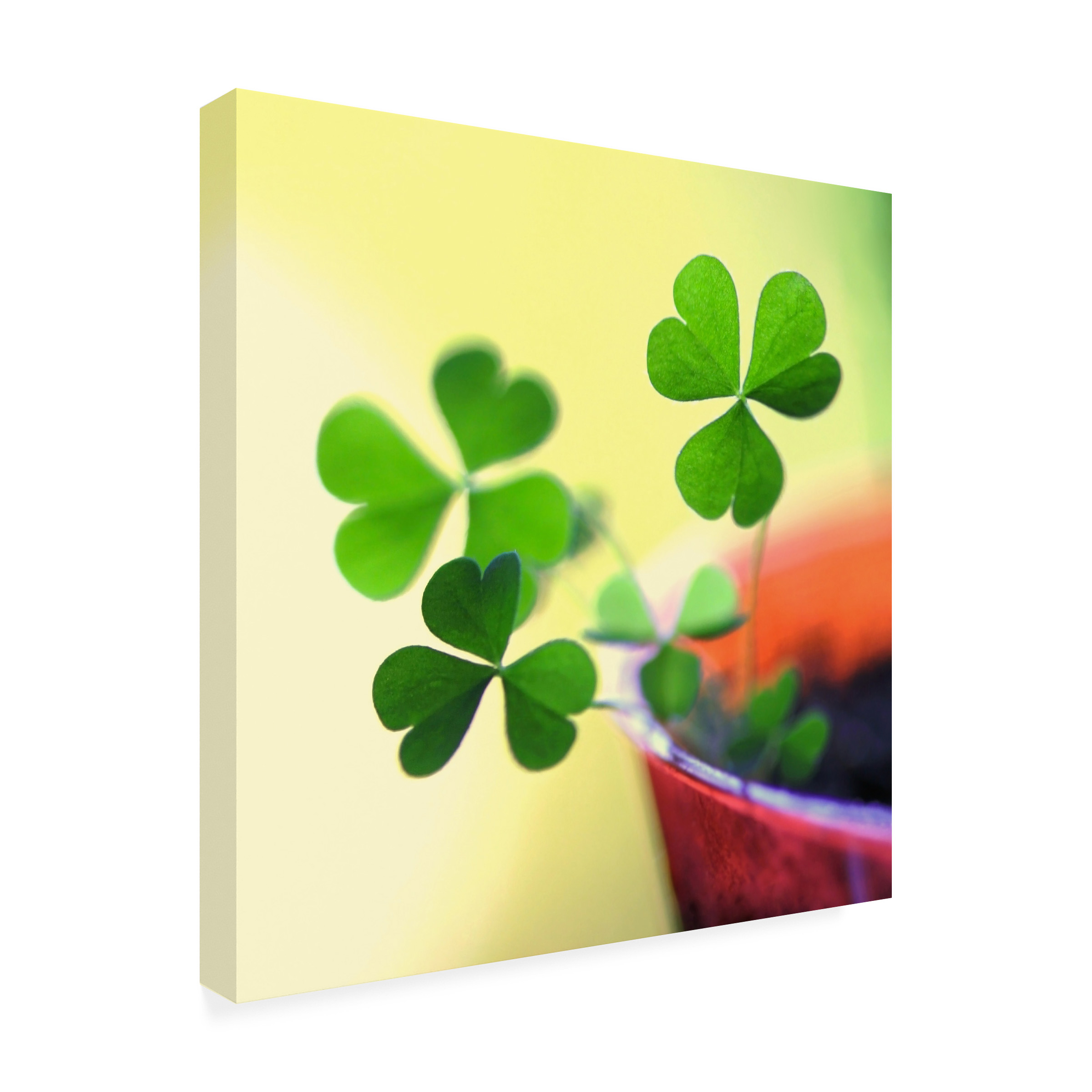 Trademark Fine Art "Into the Light" Canvas Art by Beata Czyzowska Young