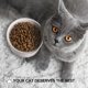 thumbnail image 3 of Labymos Cuenco elevado para gatos, cuenco elevado, 3 of 7