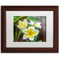 Trademark Fine Art 'Plumeria in the Rain' Canvas Art by Pierre Leclerc, White Matte, Wood Frame