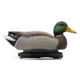 thumbnail image 4 of Final Approach HD Series Floating Mallard Duck Decoys, 12 Pack, 4 of 9