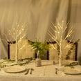 thumbnail image 2 of TETOU 2Pcs 2ft Birch Trees with Warm White Lights, Total 48LED Lighted Birch Tree, Battery Operated Artificial Fairy Light Tree, Christmas Easter Valentines Decoration for Home Indoor Table Mantel, 2 of 11