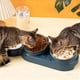 thumbnail image 1 of Comedero y bebedero para gatos, cesta doble para perros y gatos, contenedor de comida y agua para mascotas, acero inoxidable, portátil, para uso exterior, para jardín,Wsvlmg, 1 of 8