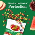 thumbnail image 2 of Jelly Belly Farmstand Fruit Jelly Bean Collection - 6 oz Peg Bag, 12-Count Case - Genuine, Official, Straight from the Source, 2 of 11